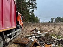 Более 340 тонн мусора вывезено с земель лесного фонда Самарской области