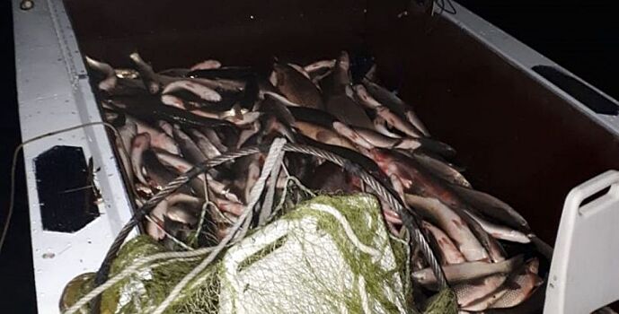 Браконьеры выловили рыбы на 250 тыс. рублей под Ростовом