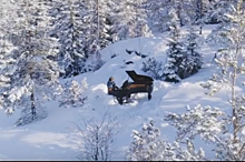 Петербургский музыкант сыграл на рояле на горе в Карелии