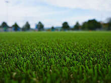 Архитектор Васецкий: оптимальная высота травы перед зимой составляет от 4 до 5 сантиметров