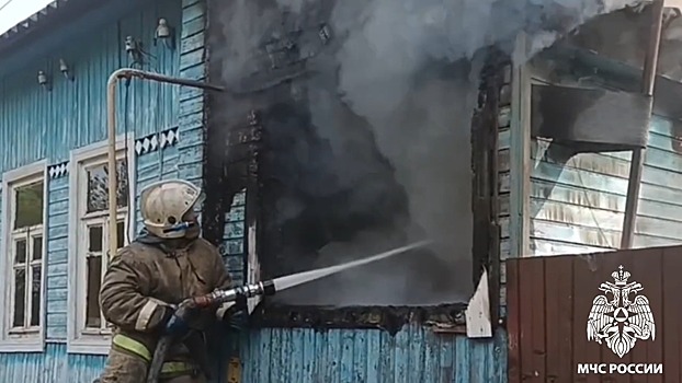 В Курской области при пожаре в деревне Марица погиб мужчина