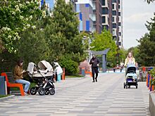 Собянин: Индексация городских соцвыплат в 2026 году будет выше уровня инфляции