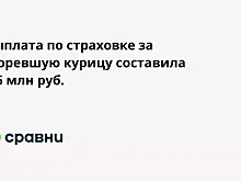 Выплата по страховке за сгоревшую курицу составила 1,6 млн руб.
