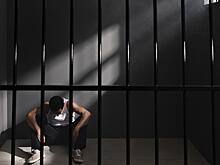 Новосибирец отправится в тюрьму на 12 лет за оправдание теракта в Крокусе