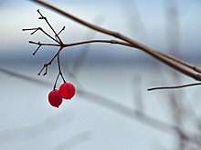 Блондинка в красной куртке пропала в Новосибирске