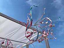 На острове Поджабный пройдет презентация проекта "Сотворение Прорана" в рамках "ВолгаФеста"