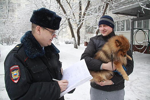 Главное — профилактика. Жители помогают участковым охранять порядок