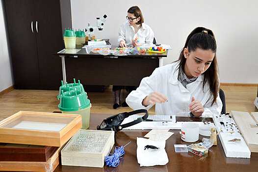 "Наглые глаза" вредителя: экологи Абхазии рады новой лаборатории