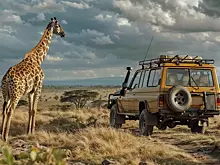 В конкурентах у российских автомобилей на этом континенте — европейцы и китайцы