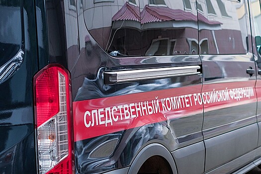 СК завершил расследование дела о продаже младенца в Москве за 100 тысяч рублей
