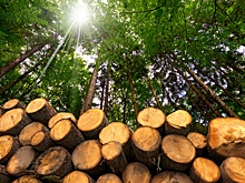 В Мордовии на 30% вырос внешнеторговый оборот