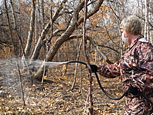 Обработка от клещей стартовала в Хабаровске