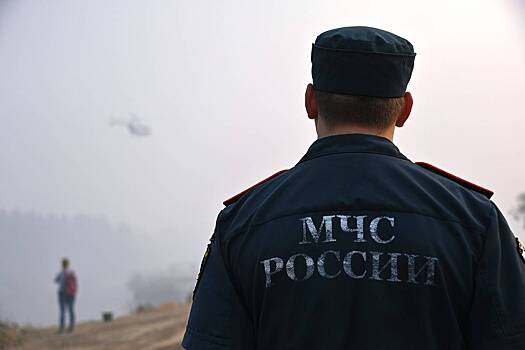 Появились данные о сборах пропавшей в тайге российской семьи