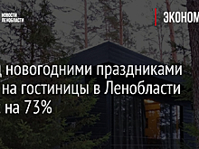 Перед новогодними праздниками спрос на гостиницы в Ленобласти вырос на 73%