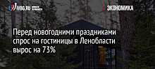 Перед новогодними праздниками спрос на гостиницы в Ленобласти вырос на 73%