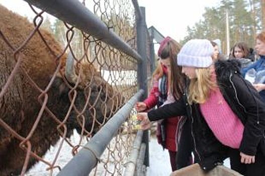 Юные экологи из Рязани представили свои исследовательские проекты