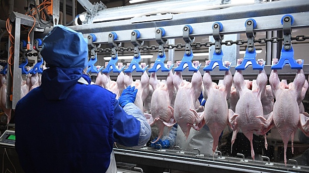 Гонконг снял ограничения на ввоз мяса птицы из России