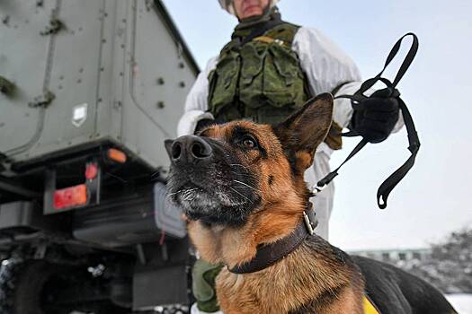 Пожизненно осужденный россиянин пожаловался в суд на собак