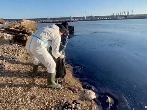 РИА Новости: мазут не достигает крупных хозяйств Кубани по разведению мидий