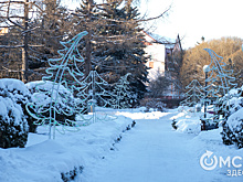 На паузе до зимы. Сибирский оазис в центре Омска закрылся