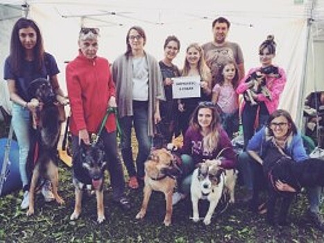 Собаки Бирюлевского приюта стали звездами благотворительной выставки