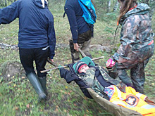 Волонтёры спасли пропавшую старушку