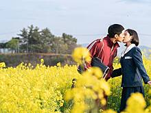 Лучшие дорамы 2025 года: топ-20 сериалов из Южной Кореи и Китая