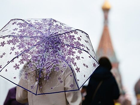 Календарная зима в столичном регионе завершится небольшим дождем и плюсовой температурой