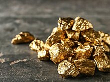 Mirror: фермер во Франции нашел у себя на участке золото на 320 млрд руб