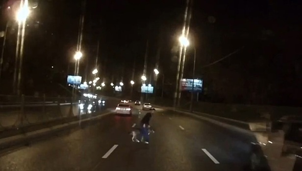 Друг в беде не бросит: неравнодушный водитель перевел собаку через дорогу в Москве