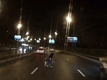 Друг в беде не бросит: неравнодушный водитель перевел собаку через дорогу в Москве