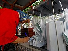 В Запорожье заявили о проблемах иностранных наблюдателей на референдуме с визами