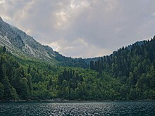 Спрос на отели Абхазии с питанием «полный пансион» и «‎все включено» растет