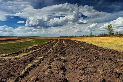 В ЕСПЧ признали мораторий на продажу земли на Украине нарушением права на защиту имущества