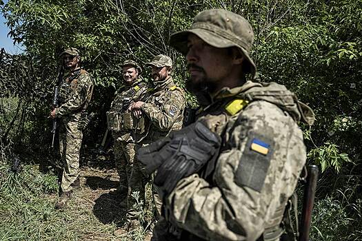 В Запорожье заявили о сокращении темпов наступления Украины из-за погоды