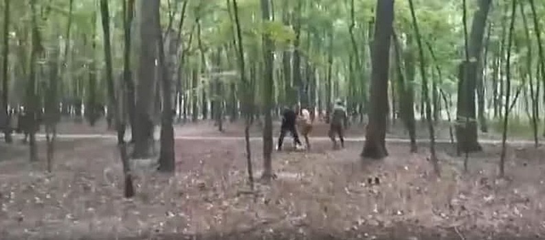 В Щукинском лесопарке произошла драка