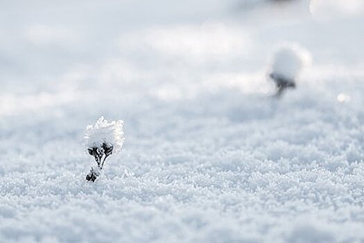 В российском регионе за два дня выпало 647 процентов месячной нормы снега