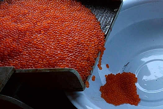 Глава Минвостокразвития рассказал, когда снизятся цены на красную икру