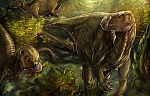 Легенды древней Земли: первый динозавр