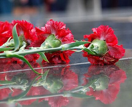Мемориальные доски в память о трех героях Советского Союза установят в Нижнем Новгороде