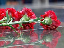 Мемориальные доски в память о трех героях Советского Союза установят в Нижнем Новгороде