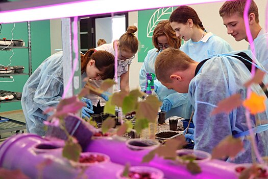 Курские ссузы проводят День открытых дверей проекта «Профессионалитет»