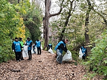 Волонтеры собрали 70 мешков мусора с городского берега Ижевского пруда