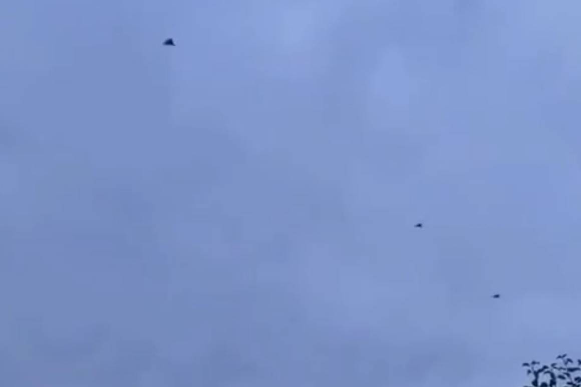 Над Украиной заметили рой из «Гераней»