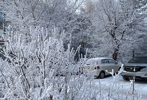 Синоптики назвали дату прихода в Омскую область настоящей зимы