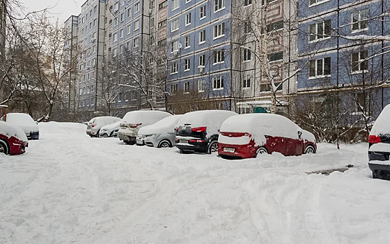 Притула о ситуации с чисткой улиц в Петербурге: по скользким дорогам тяжело передвигаться