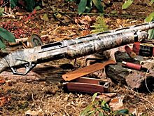 Орловским охотникам разрешили добычу пушного зверя