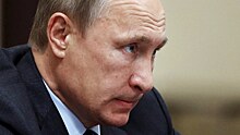 После поручения Путина разобраться с «борзотой» возбудили три дела
