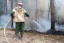 В России захотели бороться с лесными пожарами с помощью нейросетей