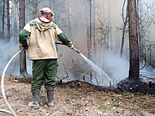 В России захотели бороться с лесными пожарами с помощью нейросетей